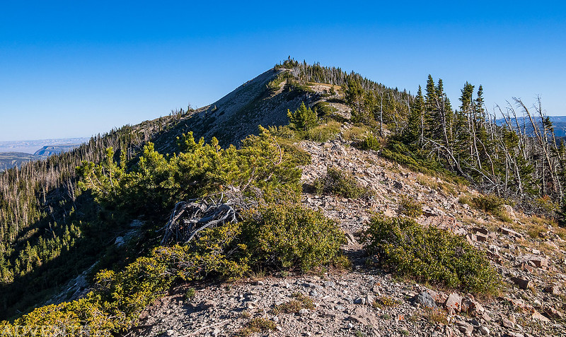 South Tent Mountain Ridge