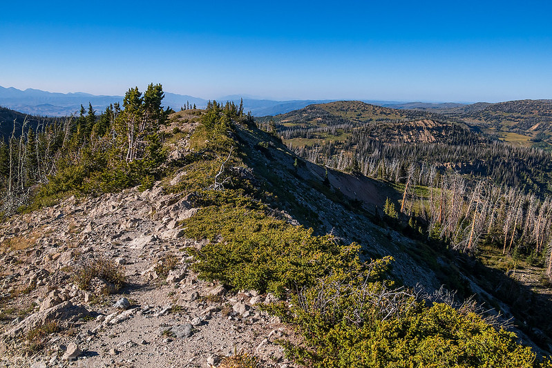 Along the Ridge