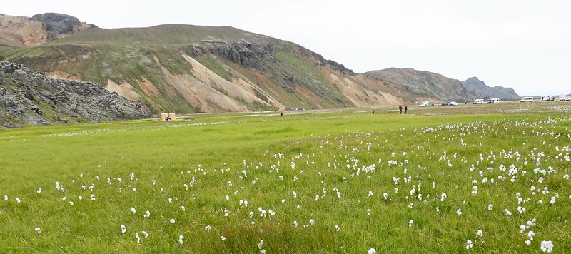 Landmannaulaugar y sus espectaculares montañas de colores. - Vuelta a Islandia con Landmmanalaugar en 9 días. (39)