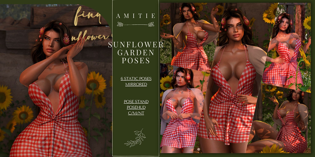Amitie Sunflower Garden at Anthem