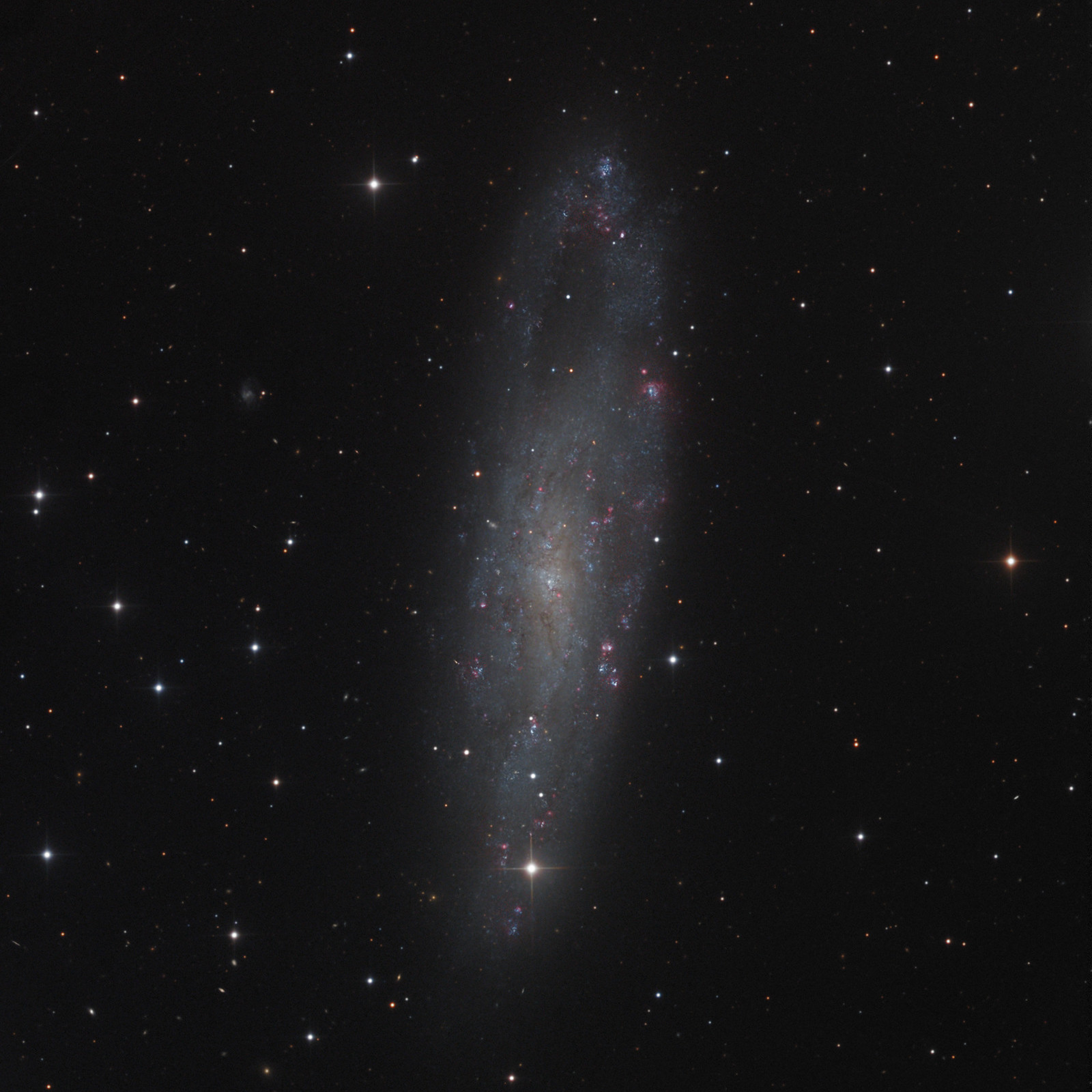NGC 247 - HaLRGB