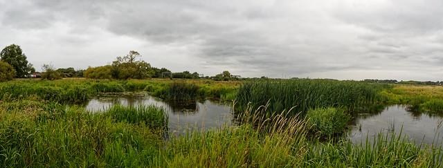 Doxey Marsh Nature Reserve