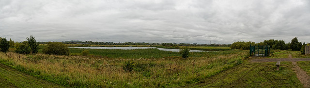 Doxey Marsh Nature Reserve
