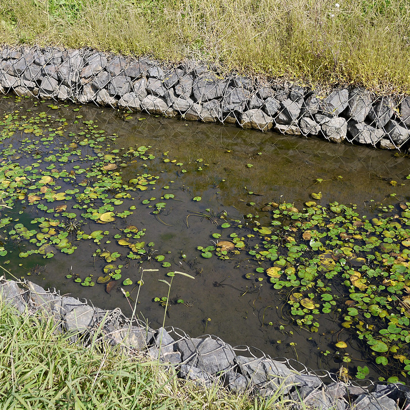 2010-10-16 Mizumoto Park 1080