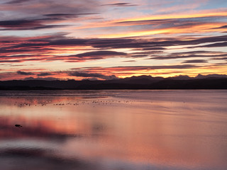 Cromarty Firth Sunset, Black Isle, Scotland