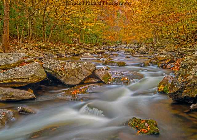 Big Creek, Great Smoky Mountains National Park