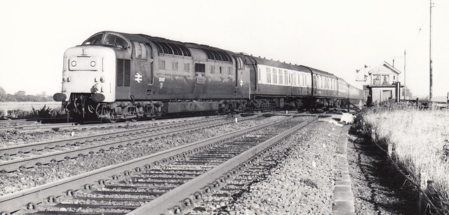 Diverted via March and Cambridge, Deltic 55017 THE DURHAM LIGHT INFANTRY takes the Royston line to Hitchin at Shepreth Branch Junction with 1E43, the 20.05 Aberdeen to King's Cross sleeper, 27th September 1981.