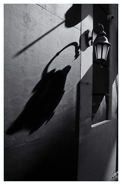 Lámpara Y Sombra (Lamp & Shadow)
