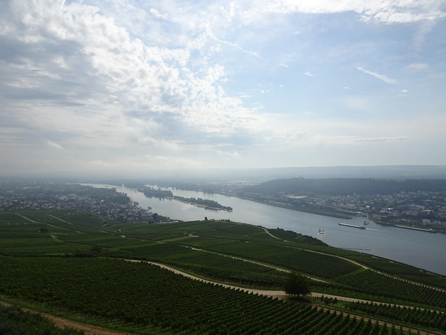 Der Rhein I