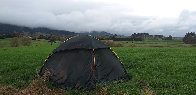 Tent camp_and  close to Ngaruawahia