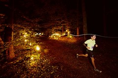 Pět důvodů, proč běžet Běhej lesy Boletice. Již tuto sobotu!