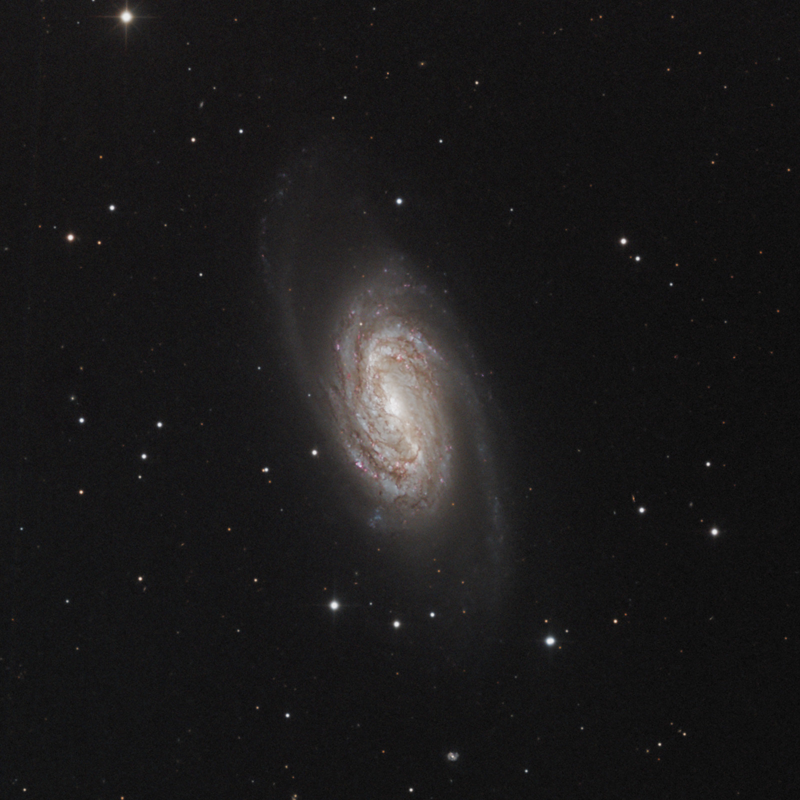 NGC 2903 - RGB