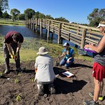 Marble Park_008 Volunteers help plant a shoreline restoration at Marble Park, Winneconne