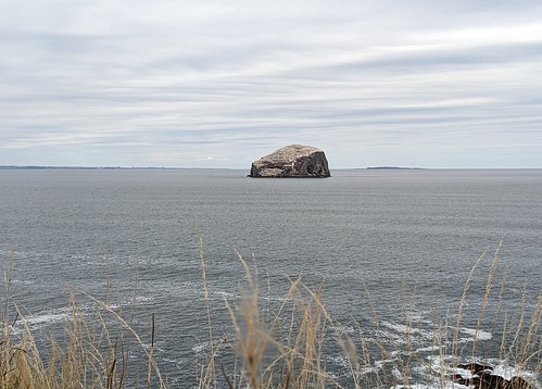 Bass Rock , Firth of Forth, Scotland