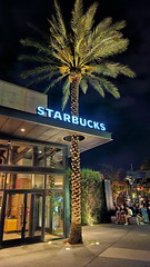Starbucks at Disney Springs