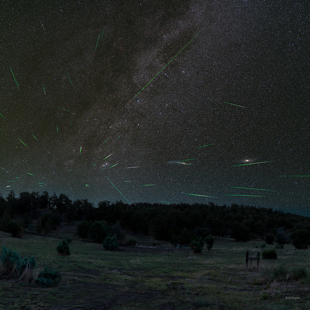 Perseid Meteor Shower in the Gila National Forest, New Mexico