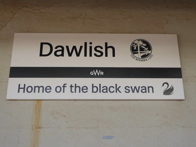 Dawlish - home of the black swan
