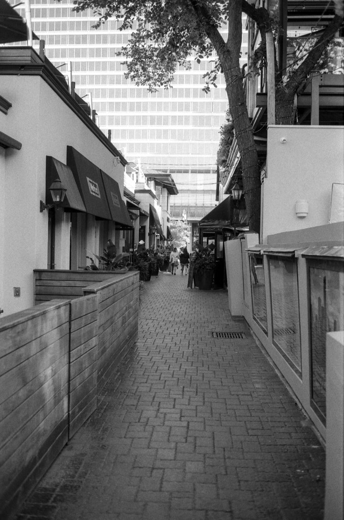 Alleyway off Yorkville Ave in the Shade