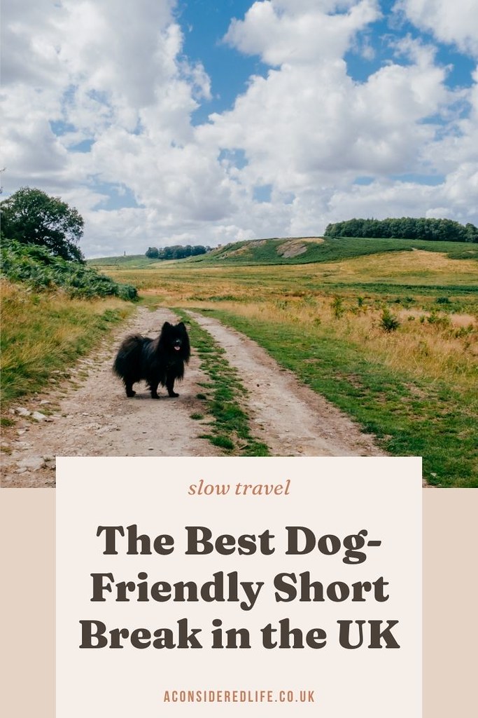 The Best Dog Friendly Short Breaks in the UK