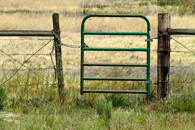 Pasture Fence and Gate