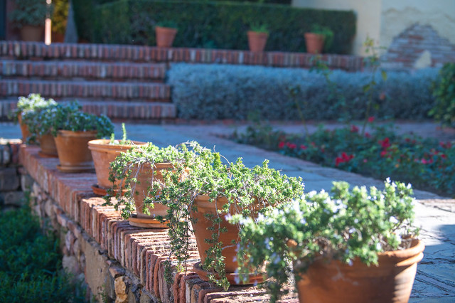 Alcazaba Terrace Plant Pots