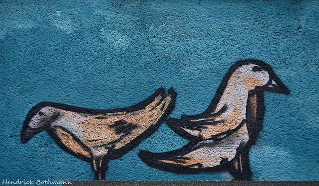 Two birds