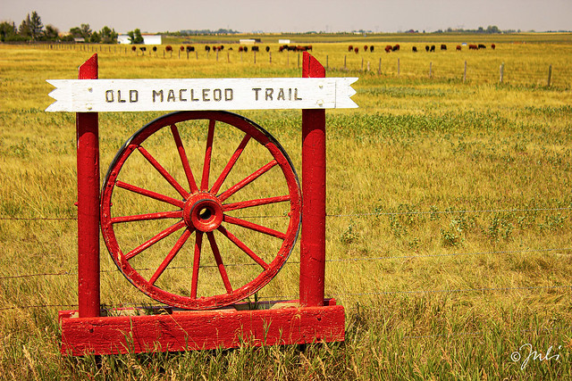 Old Macleod Trail