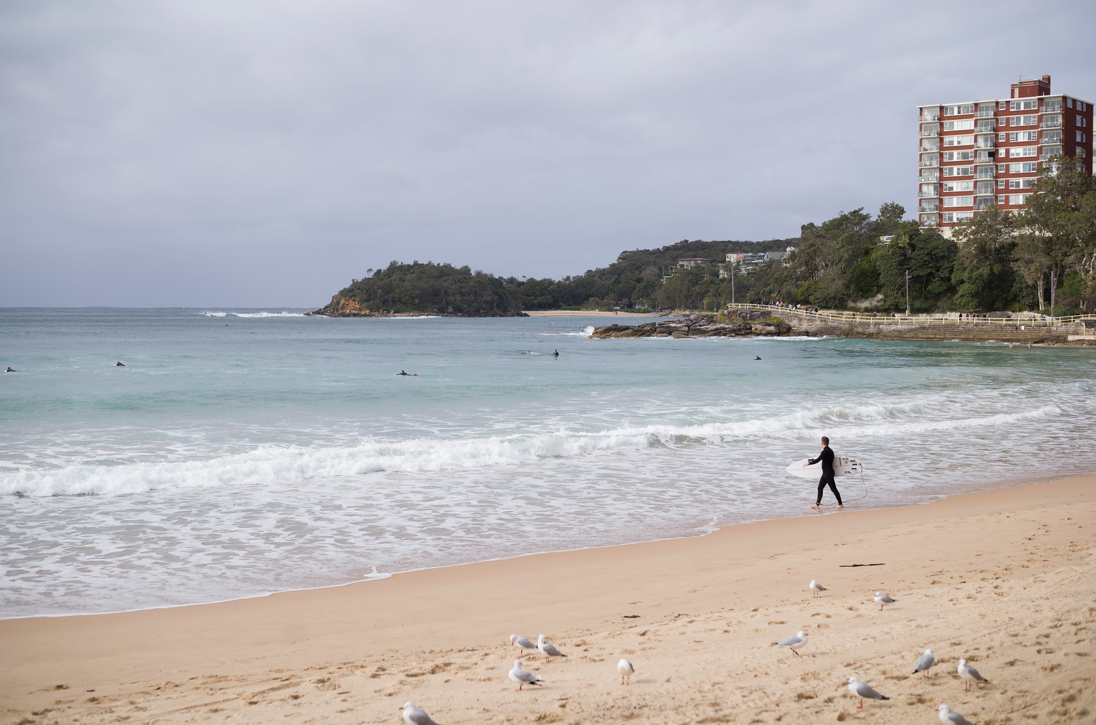 A surfer braving the chilly ocean at Manly Beach