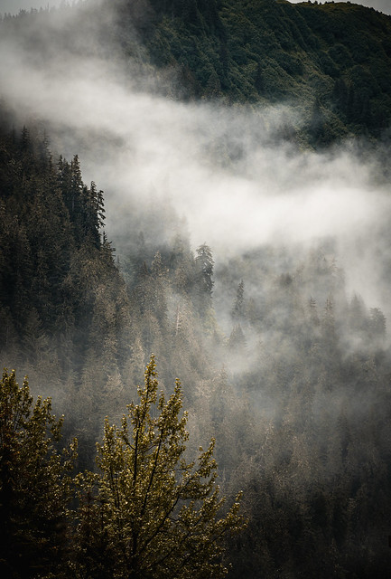Mendenhall Mountain in Mist
