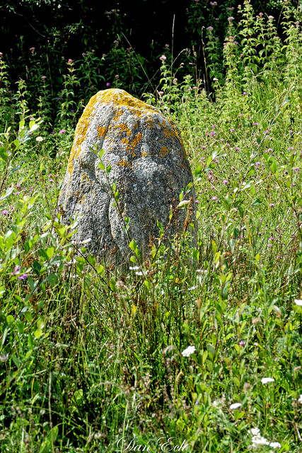 Vestiges mégalithiques aux environs de Plomeur