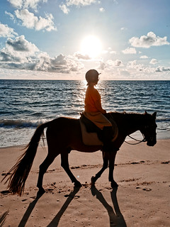 Horse riding in the sunset beach...