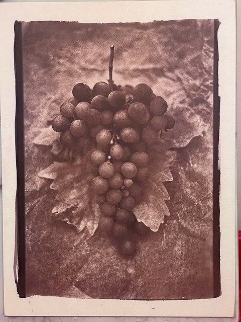 º Dad's Grapes, Toned Cyanotype