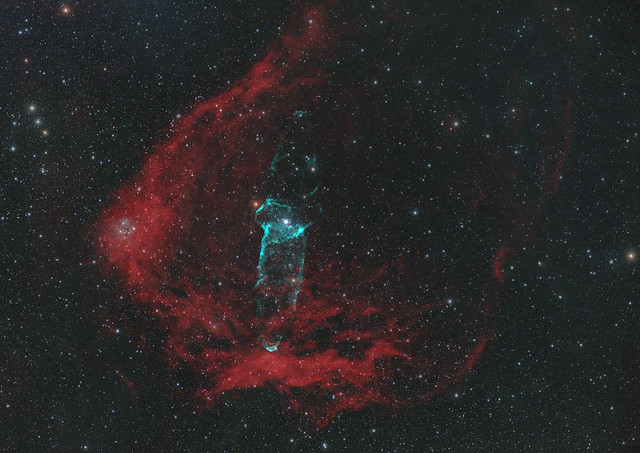 The Flying Bat and Squid nebulae