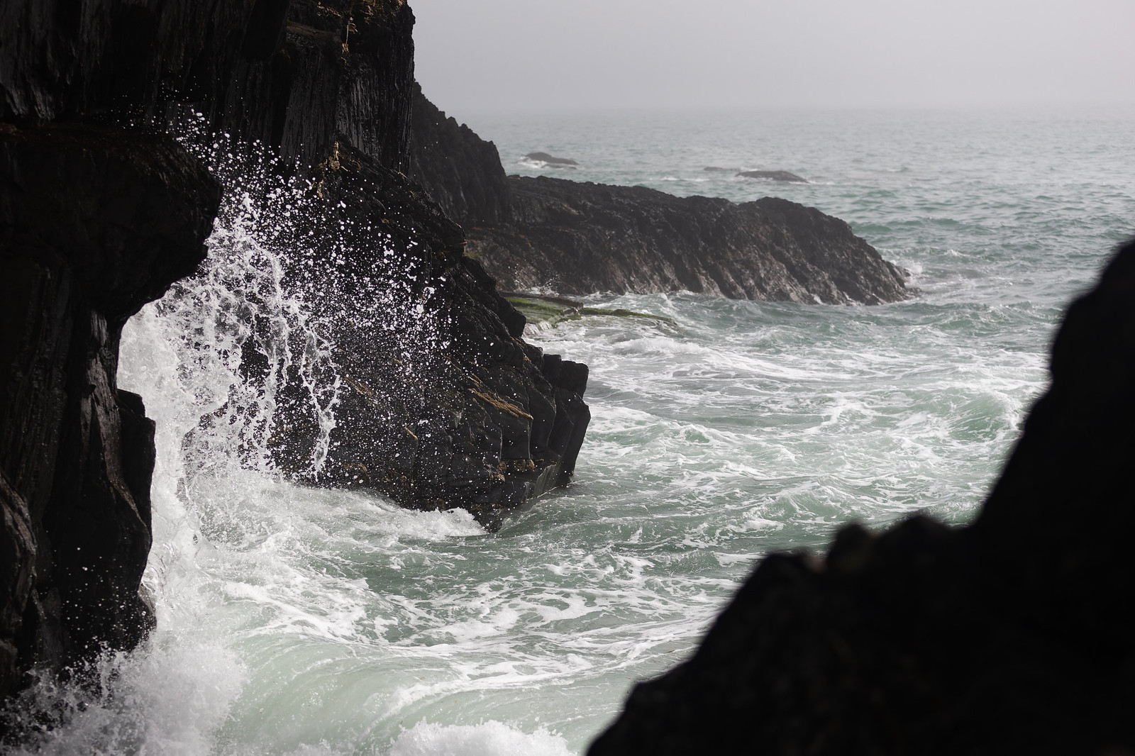 Sheep Cove Waves