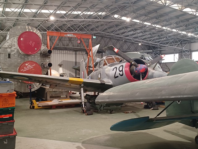G-BDYG (WV493) Percival Provost T.1