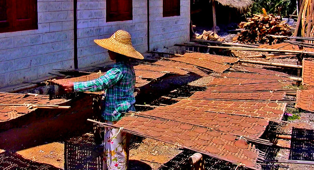MYANMAR, Burma -Dorfleben am Inle-See, 21616