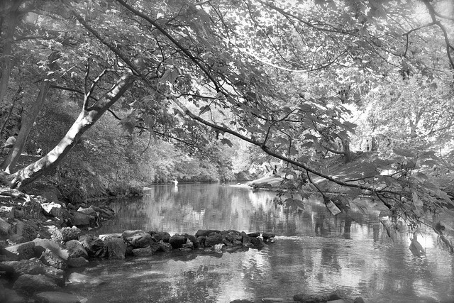 River Lea, Hackney