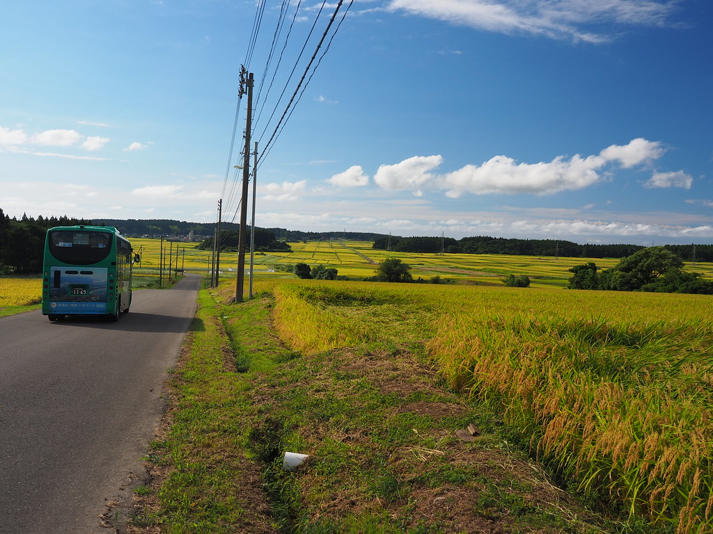A Minibus And Rice Fields