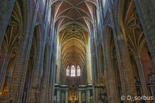 St. Bavo's Cathedral ( Explored 11-11-2023)