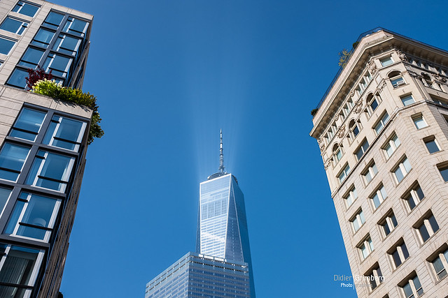 New York - Lighted One World Trade Center