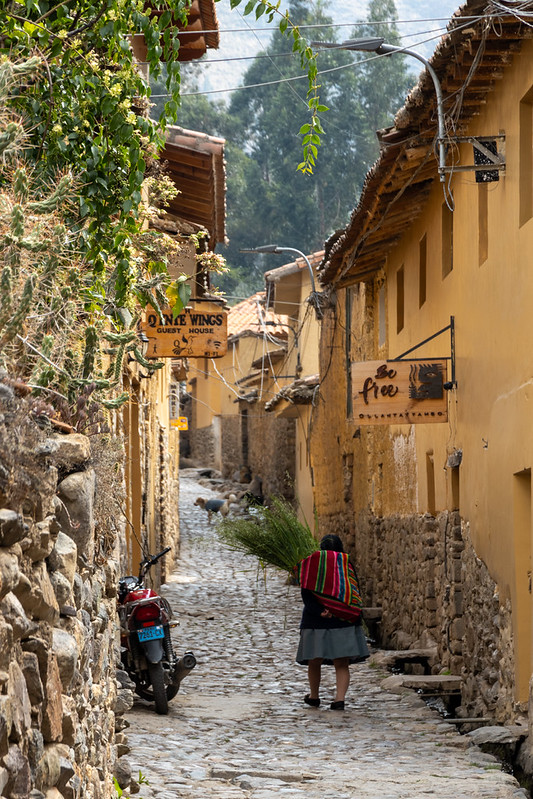 The little Peruvian lady is carrying grass for Cuyes (guinea pigs). Lots of the older women still wear fairly traditional clothes.