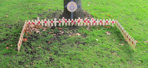 Poppy Crosses by Harrogate War Memorial