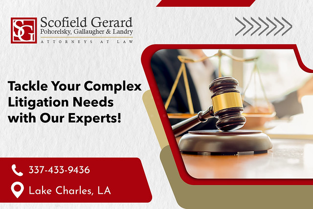 Keep Your Company On Track with Our Litigation Lawyer!