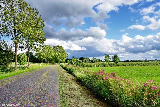 Landstraße bei Sillenstede-Wulfswarfe / Landkreis Friesland
