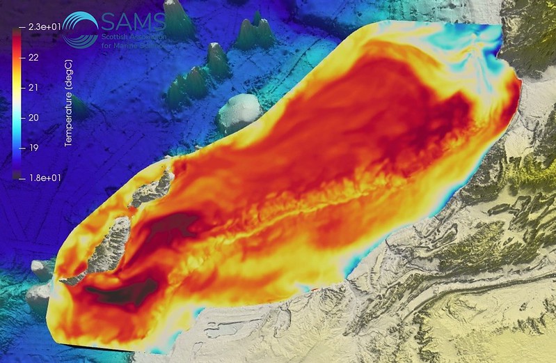 Fine-scale numerical system for prediction nearshore upwelling in Canaria Basin and carbon removal, 3D animation of temperature distribution 