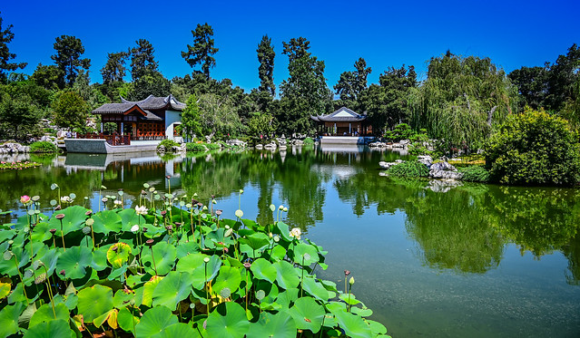 Chinese Garden at The Huntington Art Museum and Botanical Gardens - San Marino CA