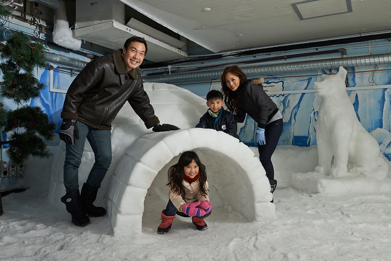 Snow-Playground-Igloo