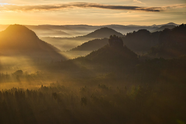 Magical early morning moment in Saxon Switzerland