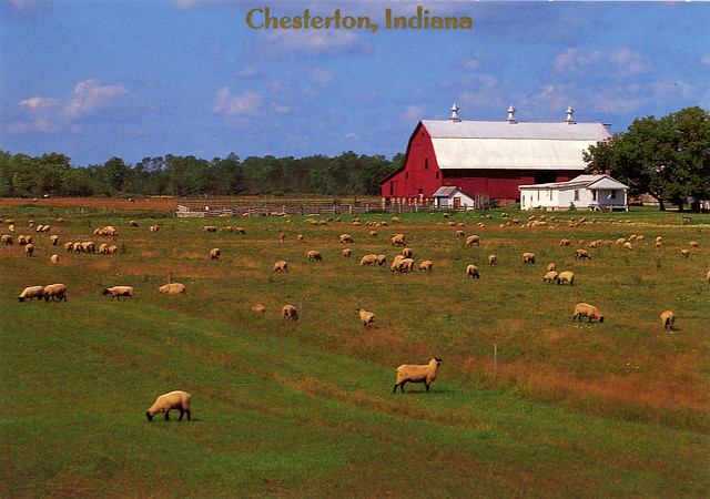 Grazing in the Pasture, circa 1980 - Chesterton, Indiana