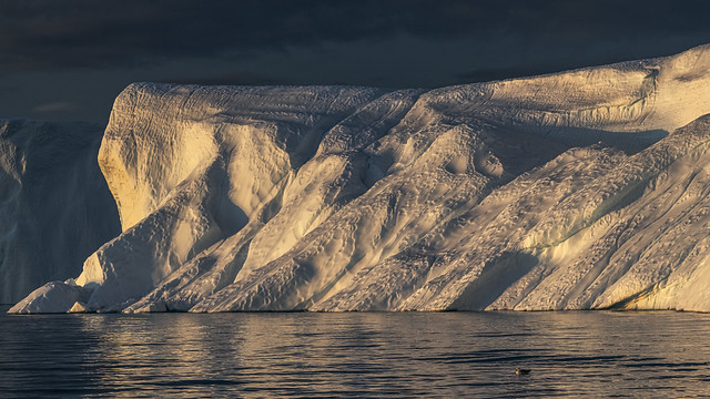 ... Ilulissat ed i suoi iceberg ...
